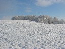 Die Kulli im Winter
